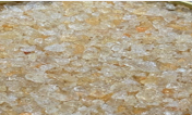 Gum Arabic Grade C